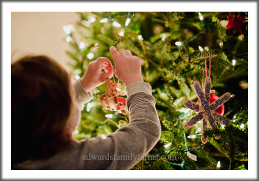 Christmas Tree Farm in Sparta NC